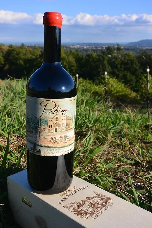 Azienda Agricola Fabbrica Di San Martino Лукка 0*,